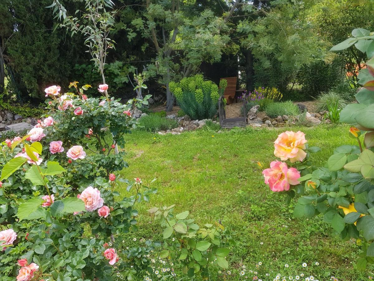 Maison Mimosa Salernes Exteriér fotografie